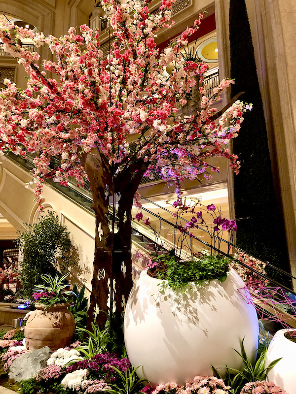 A cherry tree in blossom and an egg planter at the Venetian Hotel home to Thomas Keller's Bouchon Las Vegas
