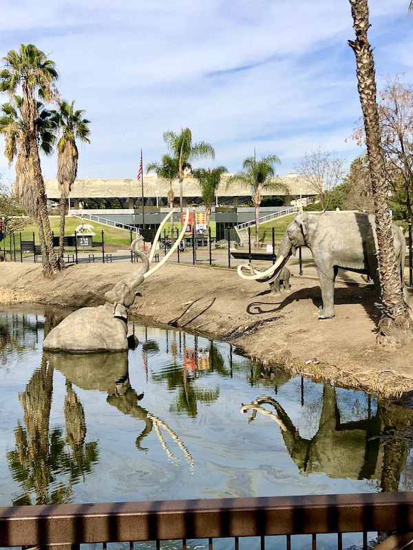 Elephant sculptures in a tar pit with rocks and palm trees seen during A Day in LaLa Land
