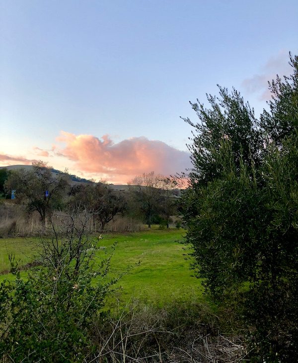 A pink and purple cloud behind a green mountain found while Exploring Hollister California and Beyond
