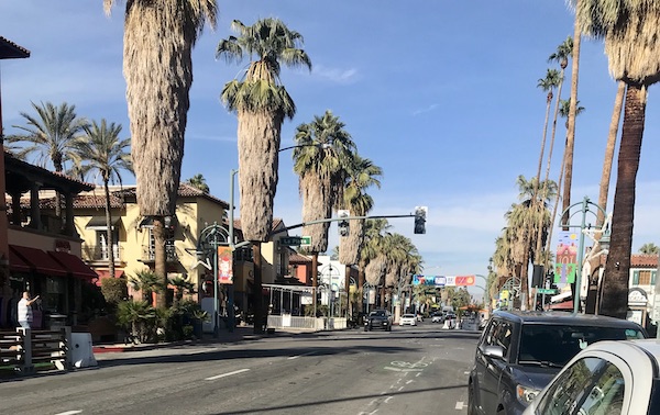 A main boulevard lined with tall palm trees near ￼