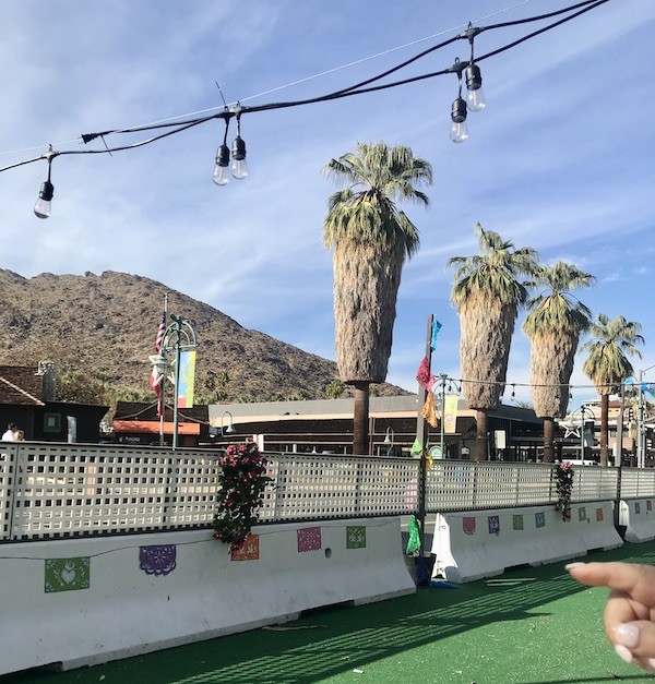A street view with tall palm trees that look like they're wearing grass skirts near ￼Great￼￼ Shakes in Palm Springs California￼