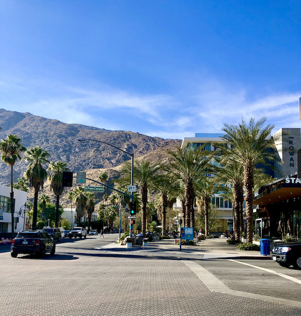 A main street lined with palm trees and mountains in the distance in Great Shakes in Palm Springs California