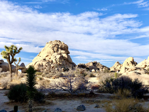 A rock formation that looks like a bird's head at Joshua Tree National Park