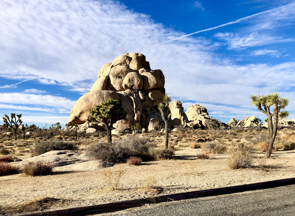 A rock formation at Joshua Tree National Park that looks like a walrus with tusks.
