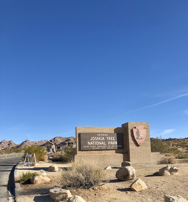 A stone wall welcoming us to Joshua Tree National Park