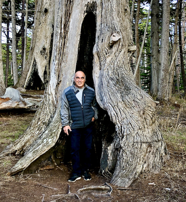 A man in a gray jacket standing in front of a very tall tree truck along the Scenic 17-mile Drive Monterey California