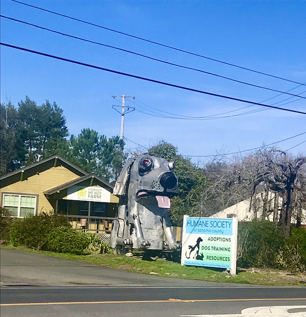 A gray dog sculpture outside a veterinarian's office after having A Taste of New Orleans in Healdsburg CA