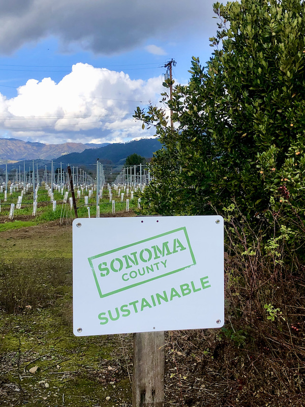 A white sign for Stuhlmuller Vineyards that reads Sonoma Sustainable in the foreground. Trees, rows of grape vines and mountains Behind the Scenes at Stuhlmuller Vineyards