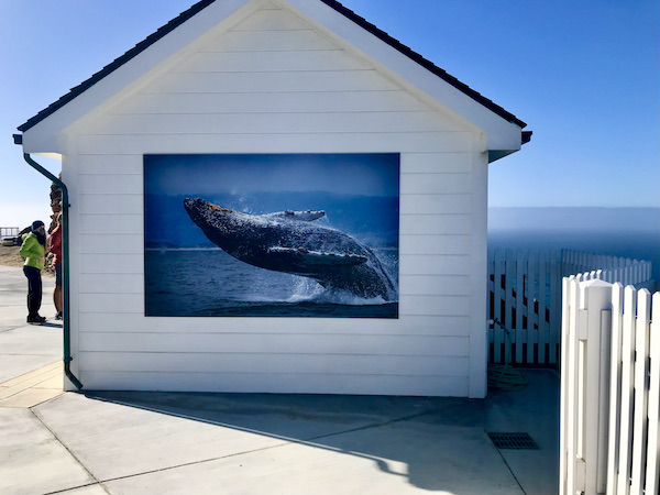 The side of a white building with a mural of a whale in the ocean on the way to the Historic Point Reyes Lighthouse