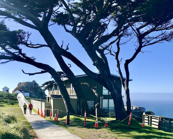 Large tree, a paved pat, lawn, a building ocean and two people walking toward the Historic Point Reyes Lighthouse