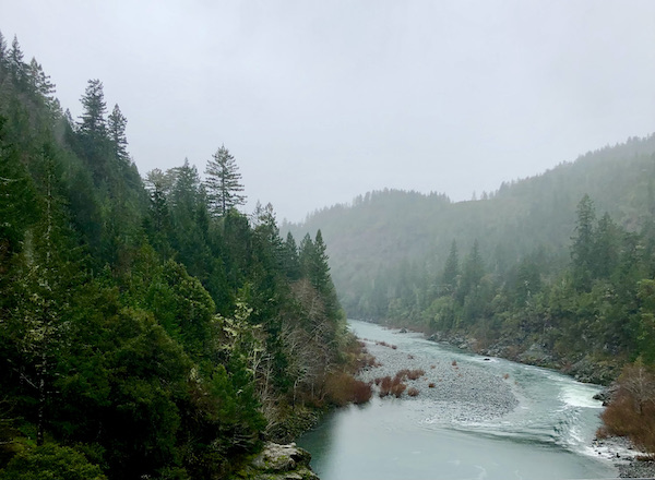 A green river of water running through a forest at Jedediah Smith Redwoods Crescent City CA
