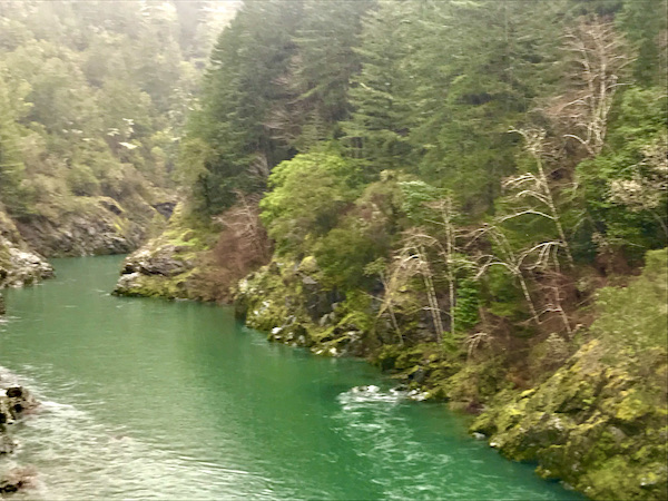 Glassy green water in a forest at Jedediah Smith Redwoods Crescent City CA
