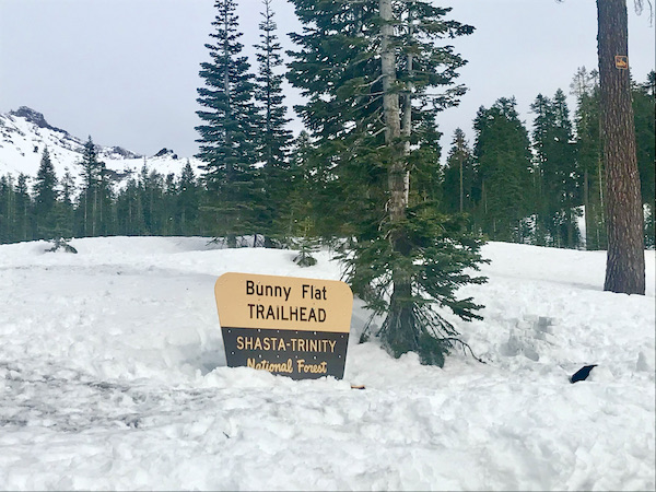A tan and brown sign for a Bunny Flat Trailhead and trees at Mt. Shasta and Shasta Lake California