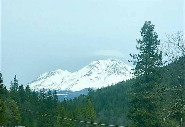 A forrest with a two-peaked snow covered mountain near Mt. Shasta and Shasta Lake California