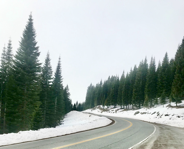 A curved highway flanked by snow and evergreen trees at Mt. Shasta and Shasta Lake California
