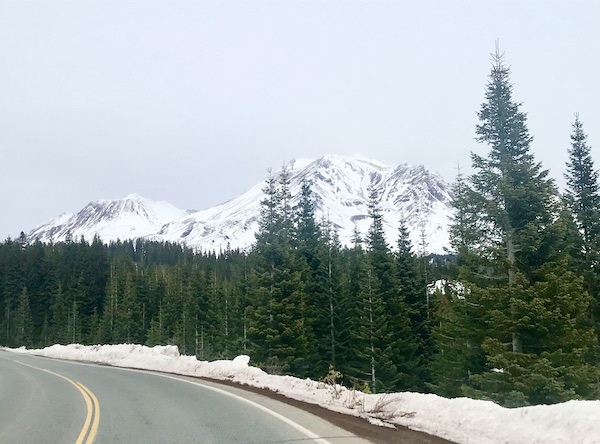 Paved street in the lower left. Snow along the road along with a forest and snow covered mountains in the background with gray sky at Mt. Shasta and Shasta Lake California