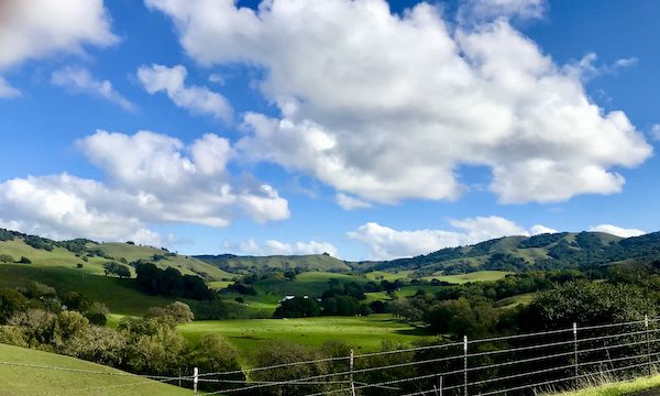 Rolling hills of green with trees, deep blue sky and white fluffy clouds Petaluma to Point Reyes California