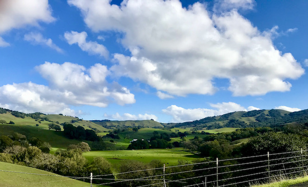Rolling hills of green with trees, deep blue sky and white fluffy clouds Petaluma to Point Reyes California