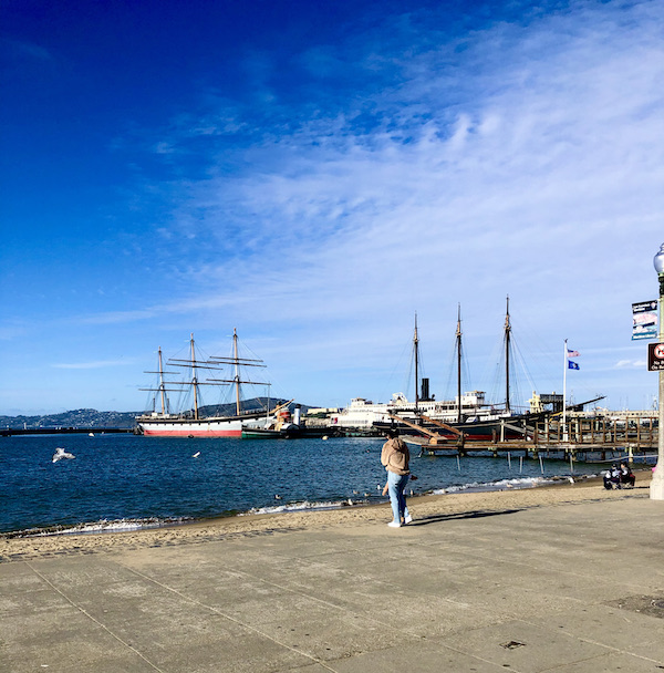 A large body of water with sailboats in San Francisco California