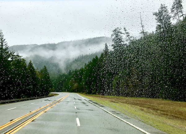 Highway flanked by trees and a mountain in the distance peaking through wispy clouds on our way to San Francisco California