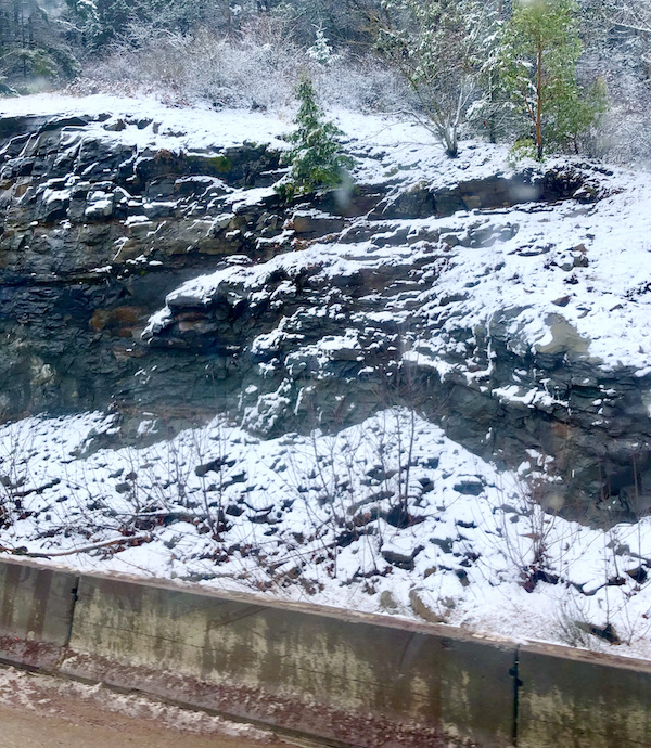 Rocks and trees blanketed with snow on our way to San Francisco California