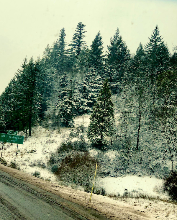 Snow covered ground next to highway with snow dusted evergreen trees on our way to San Francisco California