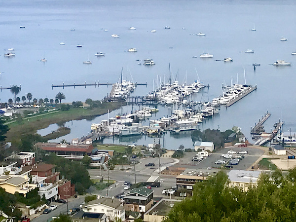 A harbor with lots of boat slips and boats on our way to San Francisco California