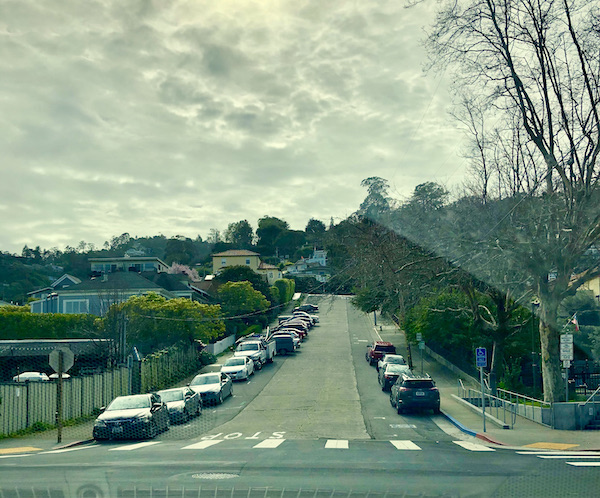 A wide and steep street lined with cars, houses and trees on our way to San Francisco California