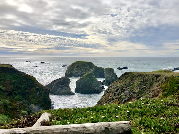 Lots of rocks in the ocean at Sonoma Coast State Beach