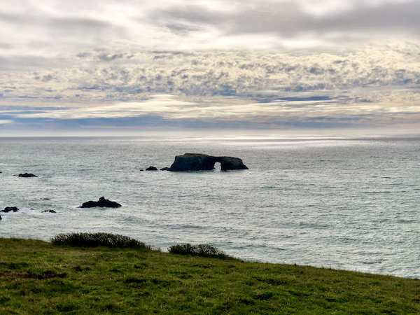 A couple of rocks in the ocean, one with a large arch, cloudy sky and grassy cliff at Sonoma Coast State Beach
