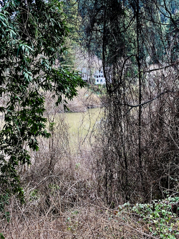 A olive green river mostly hidden by trees seen of our way back from Sonoma Coast State Beach