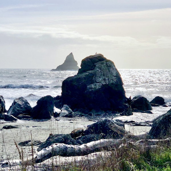 Large rocks on the beach and coming up out of the ocean near The Hungry Clam Brookings Oregon