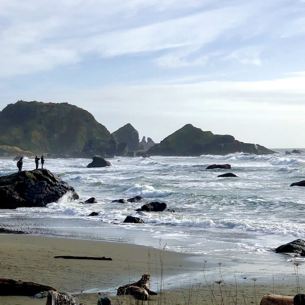 People on a large rock, beach, ocean, and mountains near The Hungry Clam Brookings Oregon