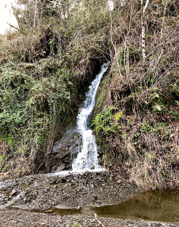 A waterfall down a mountain near The Hungry Clam Brookings Oregon