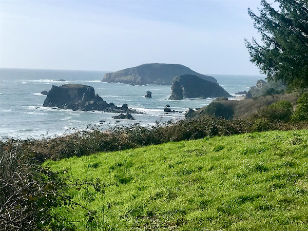 Coastal area with grass, rocks and ocean near The Hungry Clam Brookings Oregon