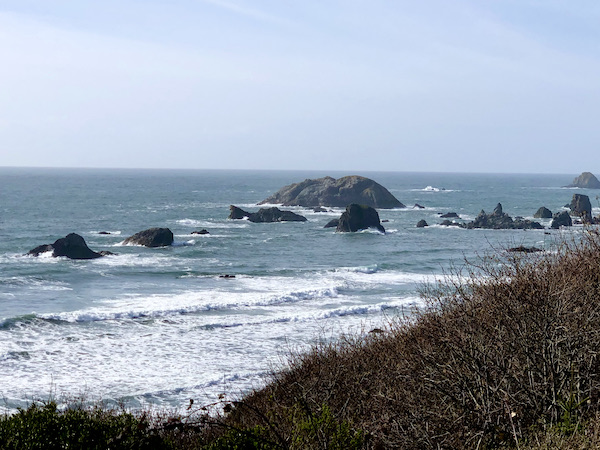 Rocky beach and ocean near The Hungry Clam Brookings Oregon