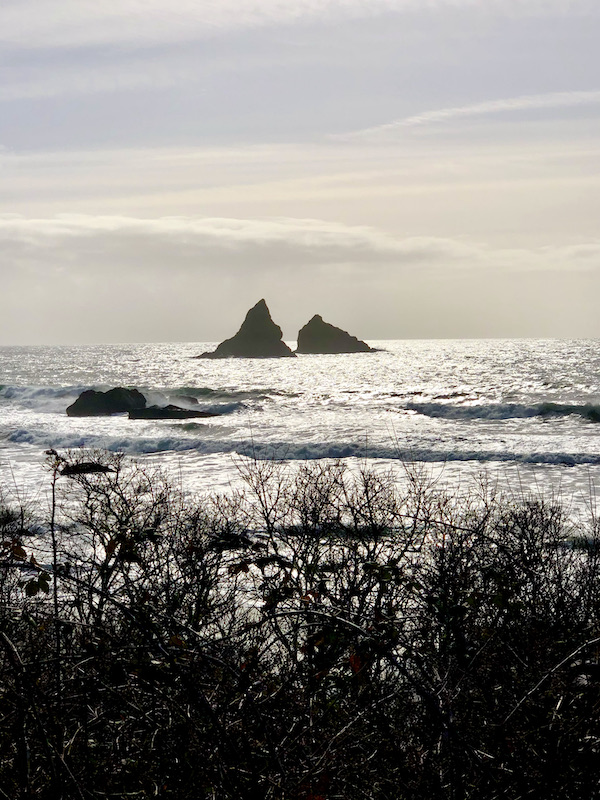 A pair of pyramid shaped rocks coming up out of the ocean with twigs in the foreground near The Hungry Clam Brookings Oregon