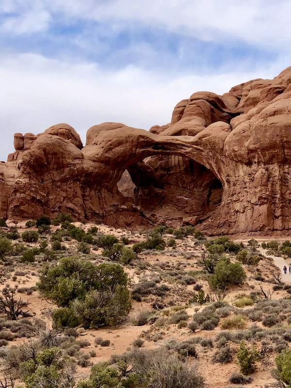 Red rock formation with lots of arches and openings at Our little guy, Hershi got a haircut today and feels much better about himself. Visit us at https://TheTravelingLocavores.com to follow all our adventures #rvlife #rvtravel #fulltimerv #lifeontheroad #rving #rvliving #Locavores #WeLoveFood #Foodies #TheTravelingLocavores #Wanderlust #Traveling #FoodTravel #TravelFoodBlog #TravelFoodie #FoodStories #TravelPhotography #yorkie #yorkielove