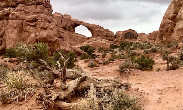 Red rock mountains with an arch you can see sky through. Sand and driftwood in the foreground at Arches National Park Moab Utah