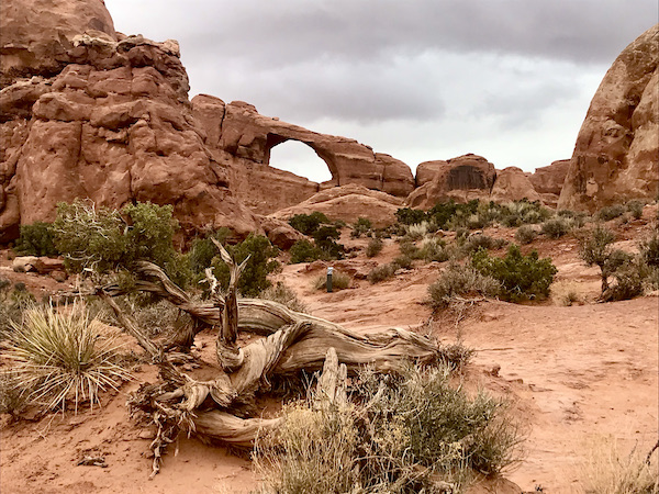 Red rock mountains with an arch you can see sky through. Sand and driftwood in the foreground at Arches National Park Moab Utah