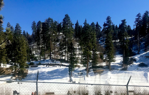 A snowy ski slope with skiers and pine trees at Big Bear Lake California