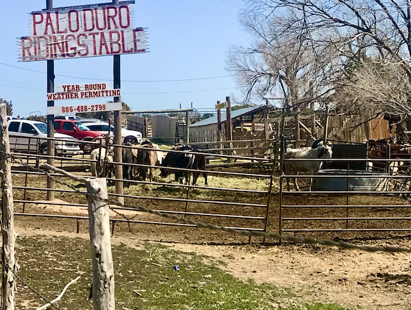 Another of the Highlights of Amarillo Texas was the Palo Duro Riding Stables.