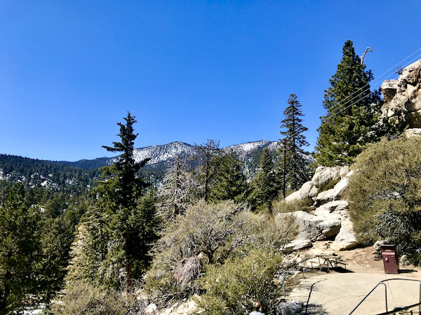 A picnic area with table and benches amid mountains and conifers at Palm Springs Aerial Tramway California