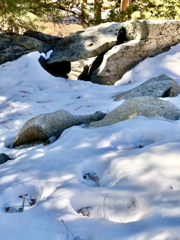 Lots of snow with rocks and dead wood peeking out at the Palm Springs Aerial Tramway California