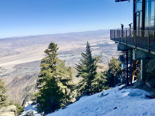 An incredible view seen through the tops of conifers at the Palm Springs Aerial Tramway California