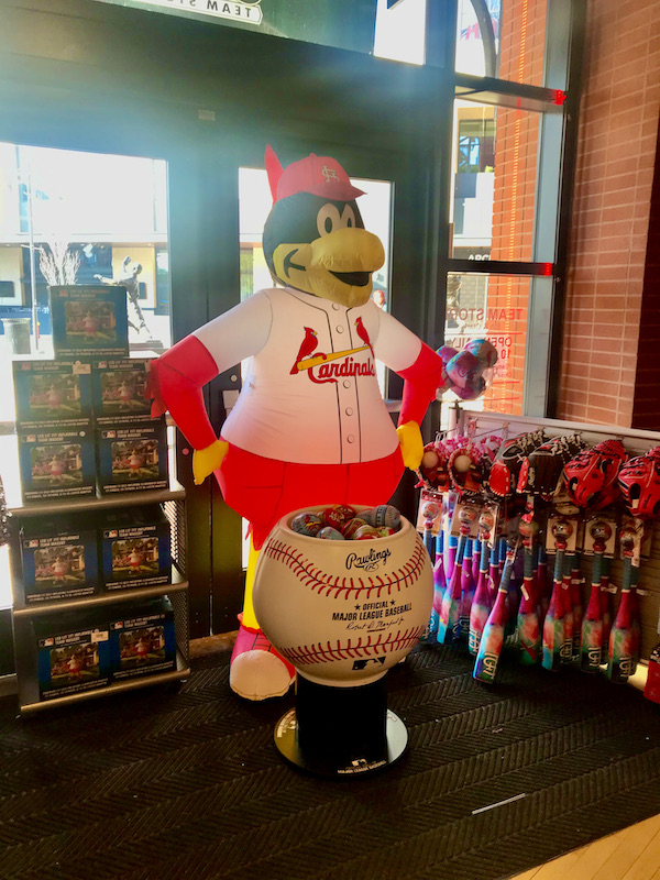 A large soft sculpture of a big bird in a St. Louis Cardinals baseball uniform inside a store.