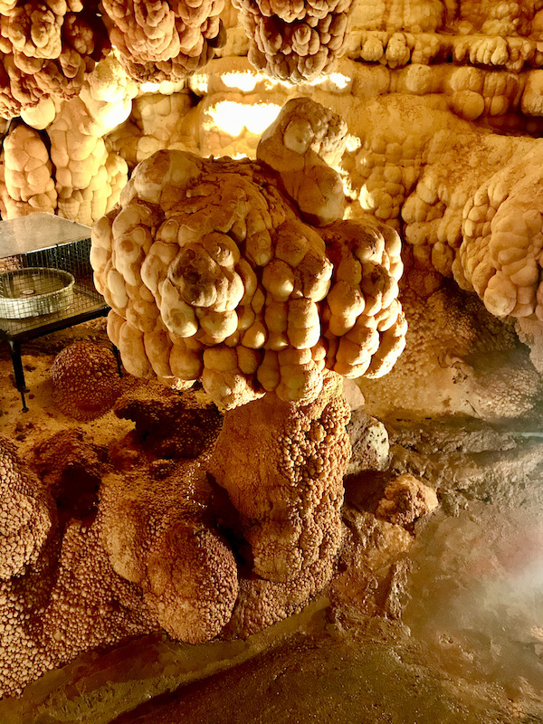 A series of formations that look like brains inside Meramec Caverns Stanton Missouri