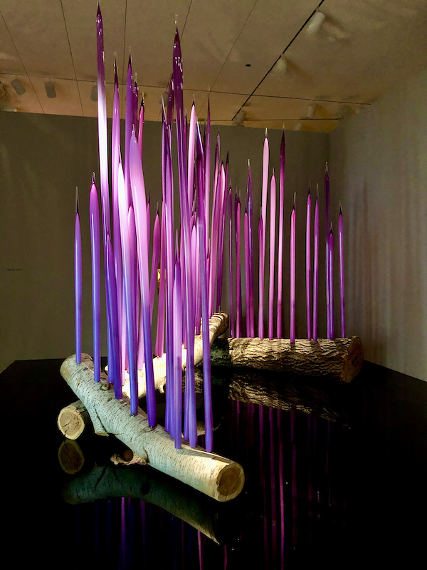 Wood branches with purple glass reeds on top at the OKC Museum of Art Dale Chihuly Exhibit