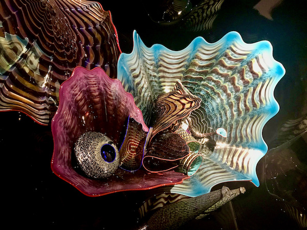 Irregularly shaped colored glass bowls at the OKC Museum of Art Dale Chihuly Exhibit