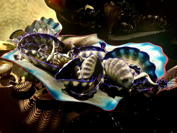 Glass bowls filled with glass seashell looking objects at the OKC Museum of Art Dale Chihuly Exhibit